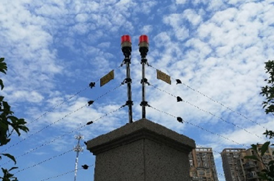 报警